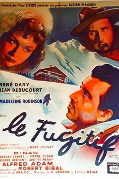 Affiche du film Le fugitif