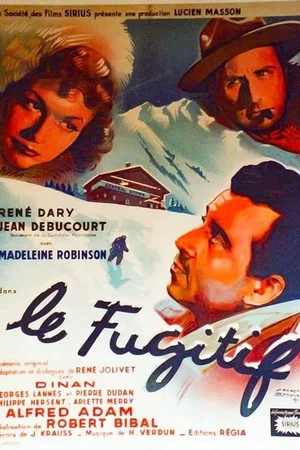 Affiche du film : Le fugitif