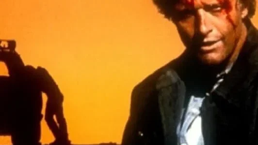 Affiche du film : Hitcher