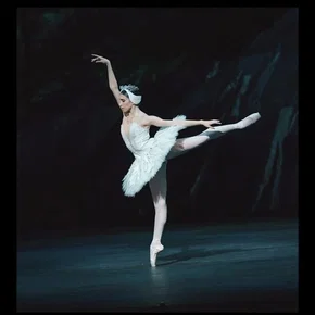 Photo du film : Le Royal Ballet : Le Lac des Cygnes