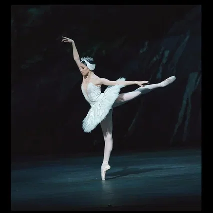 Miniature photo du film : Le Royal Ballet : Le Lac des Cygnes
