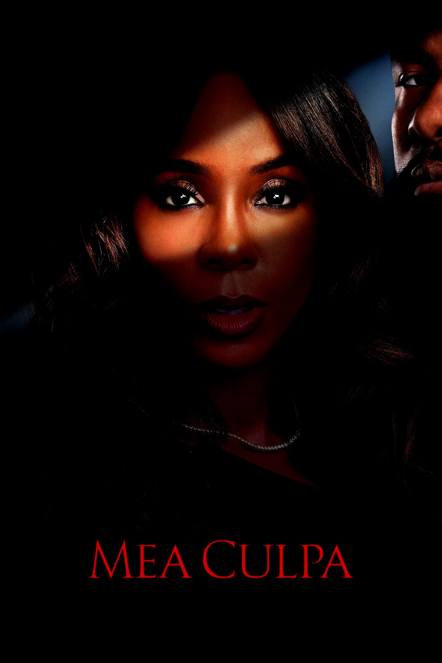 Affiche du film : Mea Culpa