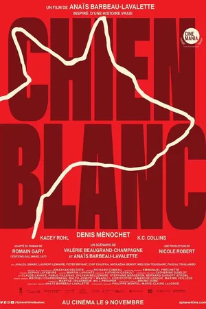 Photo 4 du film : Chien blanc