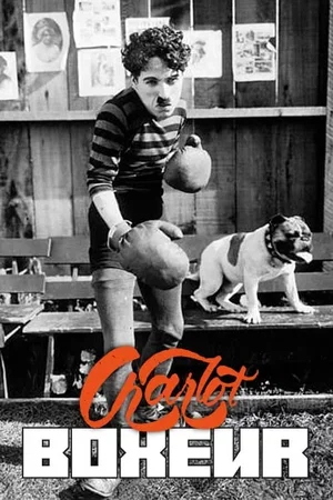 Photo 5 du film : Charlot boxeur