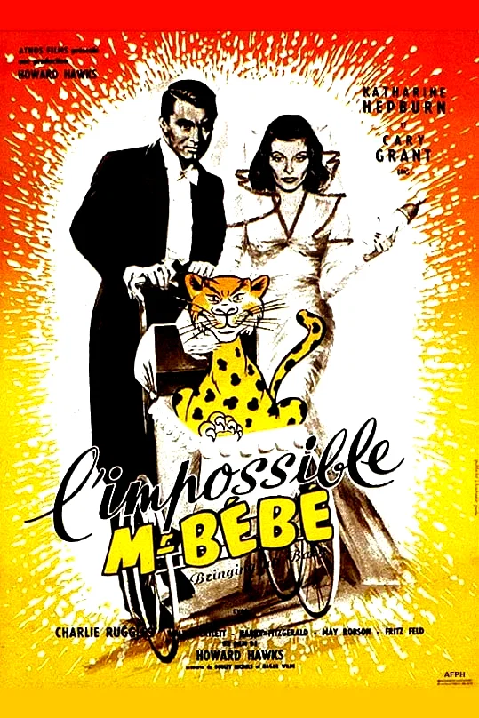 Affiche du film : L'impossible monsieur bebe