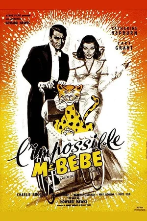 Affiche du film : L'impossible monsieur bebe