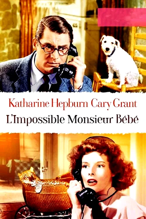 Photo 11 du film : L'impossible monsieur bebe