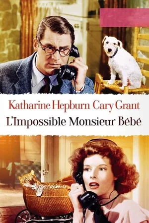 Photo 11 du film : L'impossible monsieur bebe