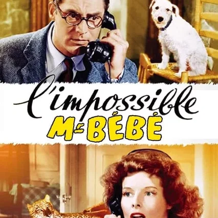 Miniature photo du film : L'impossible monsieur bebe