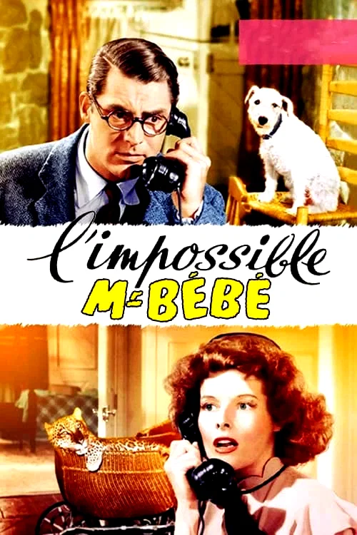 Photo 13 du film : L'impossible monsieur bebe
