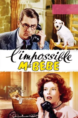 Photo 13 du film : L'impossible monsieur bebe