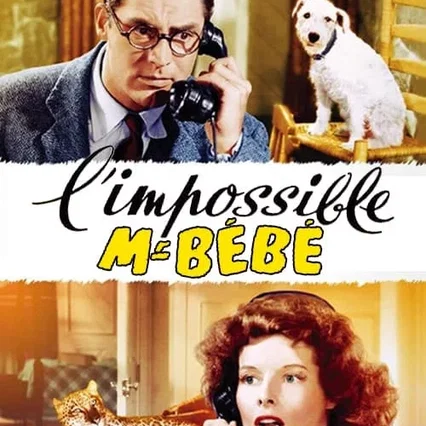 Miniature photo du film : L'impossible monsieur bebe