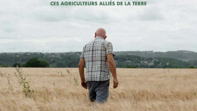 Affiche du film : Intensif