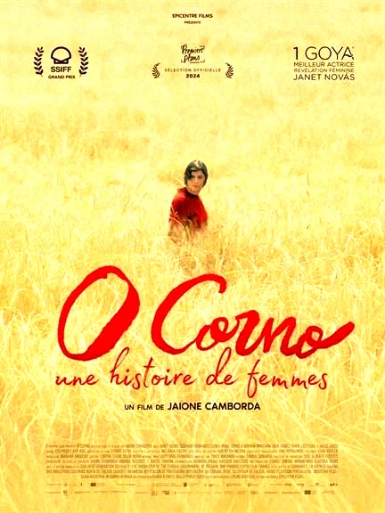 Affiche du film : O Corno, une histoire de femmes