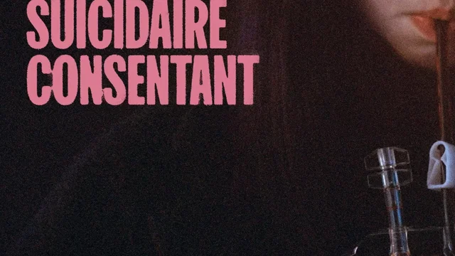 Affiche du film : Vampire humaniste cherche suicidaire consentant