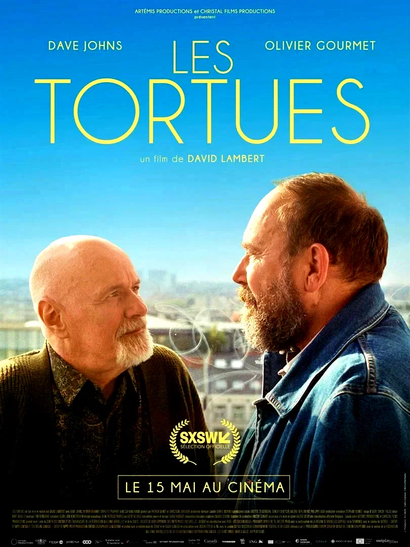 Affiche du film : Les tortues