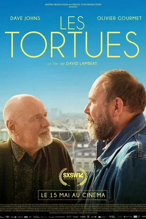 Affiche du film : Les tortues