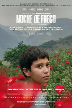 Affiche du film Nuit de feu