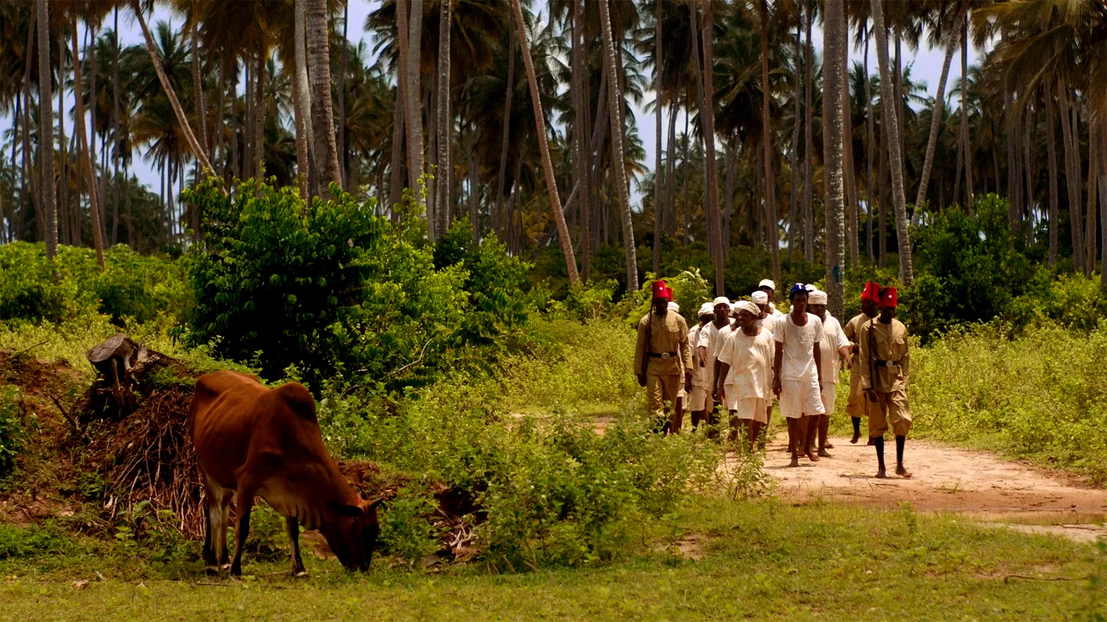 Photo du film : Vuta N'Kuvute