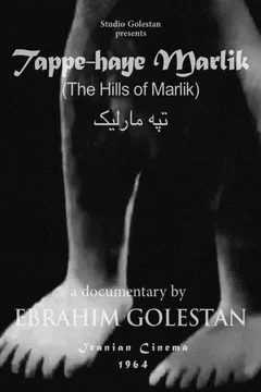 Affiche du film Tappe-haye Marlik