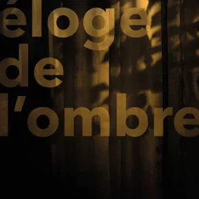 Photo du film : Éloge de l'ombre