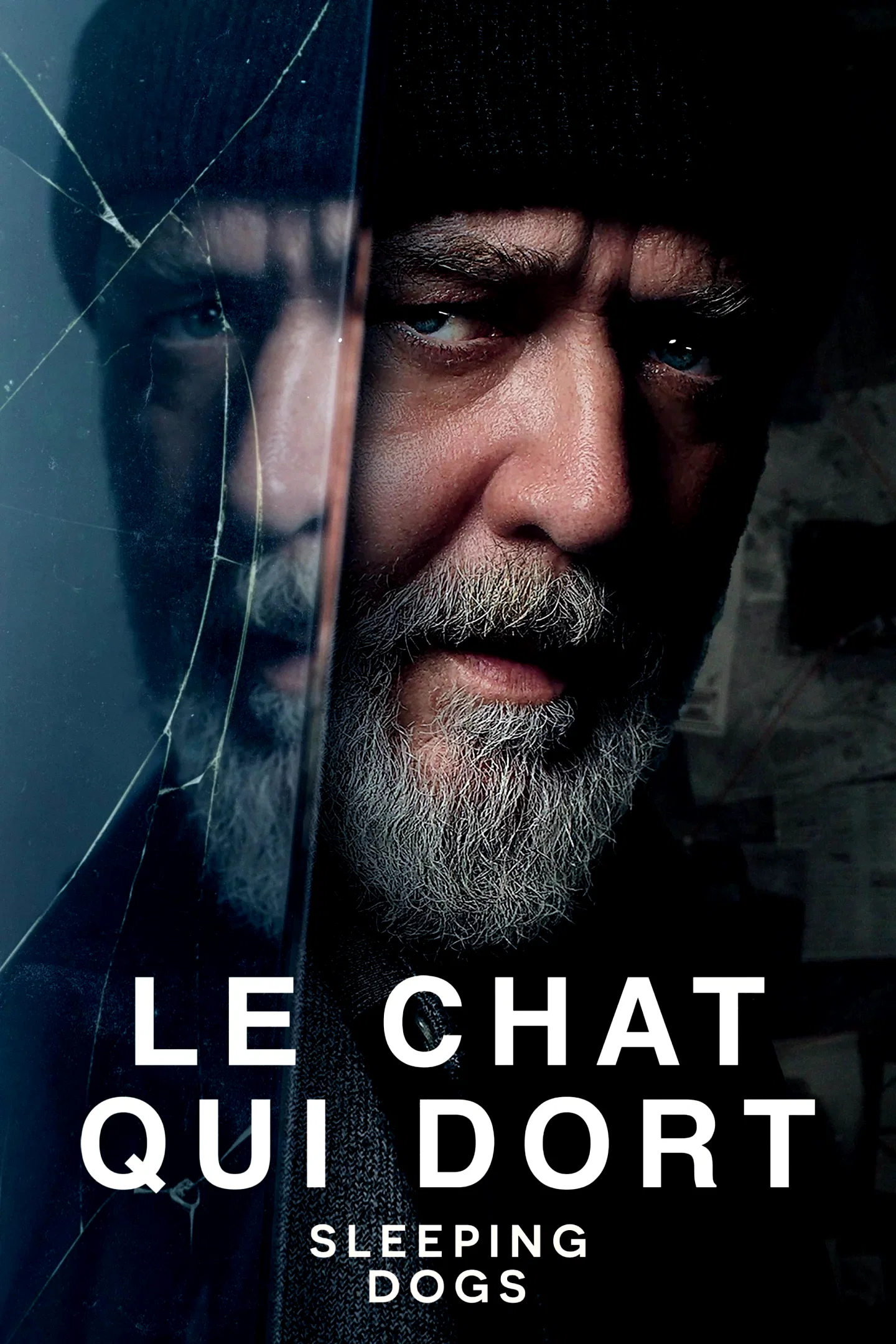 Affiche du film : Sleeping Dogs