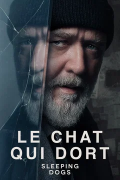 Affiche du film Sleeping Dogs