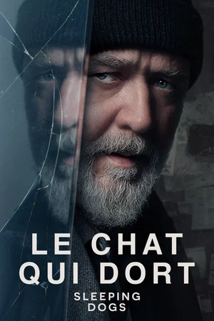 Affiche du film : Sleeping Dogs