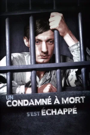 Photo 6 du film : Un condamné à mort s'est echappé