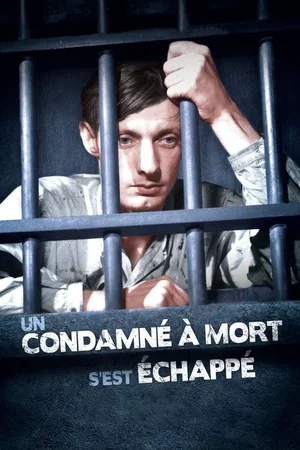 Photo 8 du film : Un condamné à mort s'est echappé