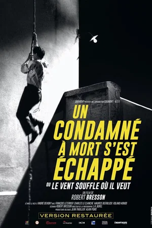 Photo 10 du film : Un condamné à mort s'est echappé