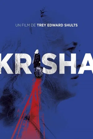 Affiche du film : Krisha