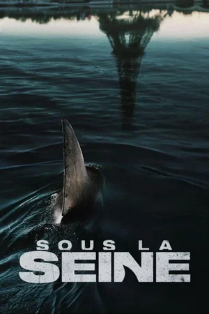 Affiche du film : Sous la seine