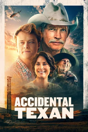 Affiche du film : Accidental Texan