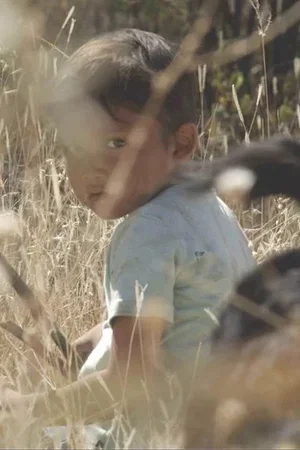 Photo 1 du film : Hijo de Sicario