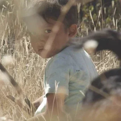 Miniature photo du film : Hijo de Sicario
