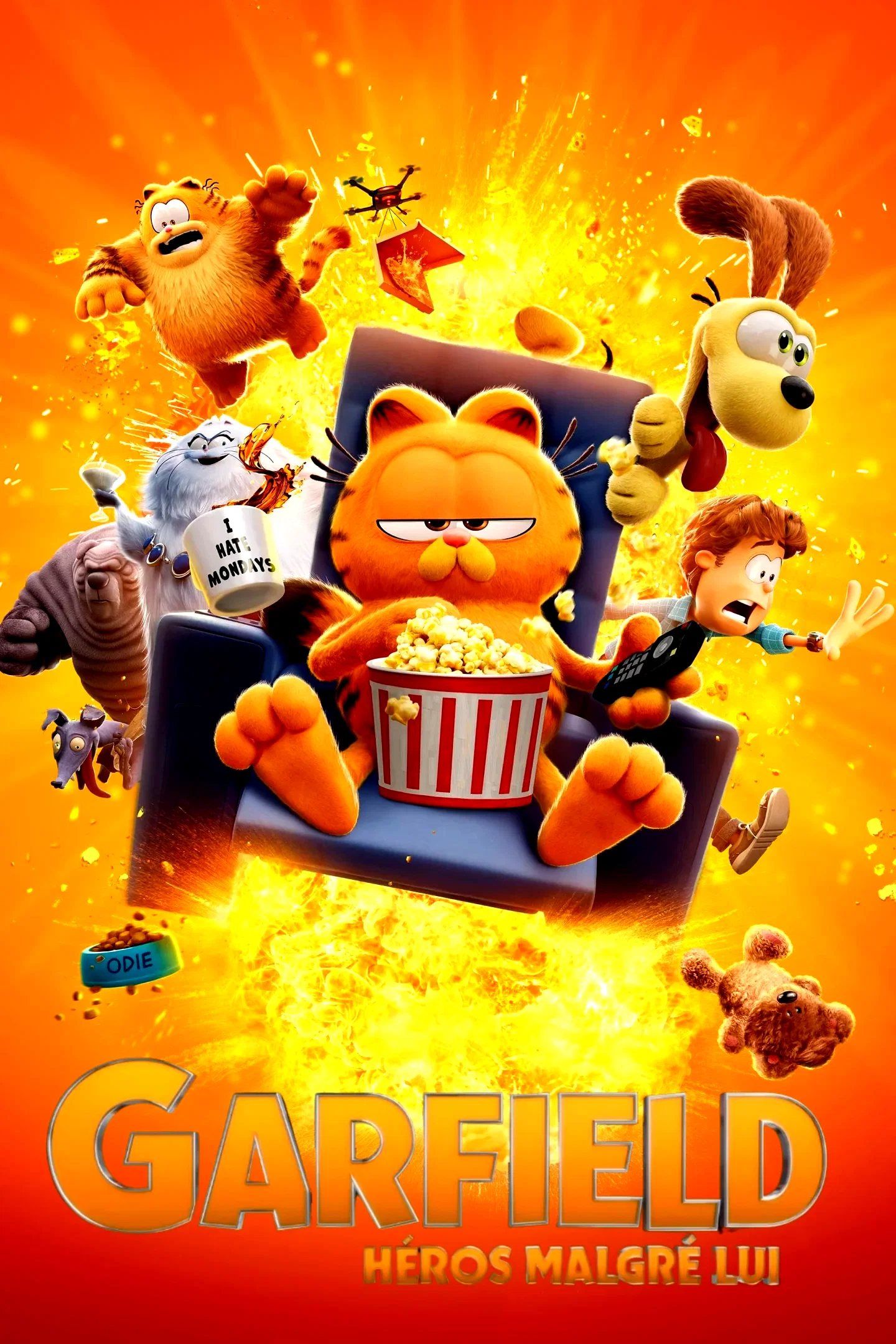 Photo 6 du film : Garfield : Héros malgré lui