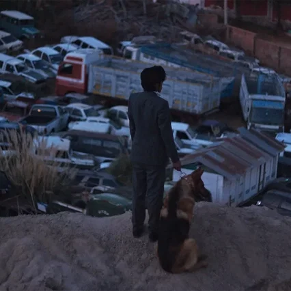 Miniature photo du film : El ladrón de perros