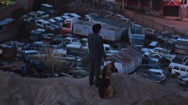 Photo 2 du film : El ladrón de perros