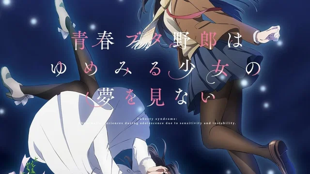 Affiche du film : Rascal Does Not Dream of a Dreaming Girl