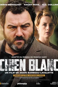 Affiche du film Chien blanc