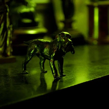 Miniature photo du film : Le Passager Clandestin