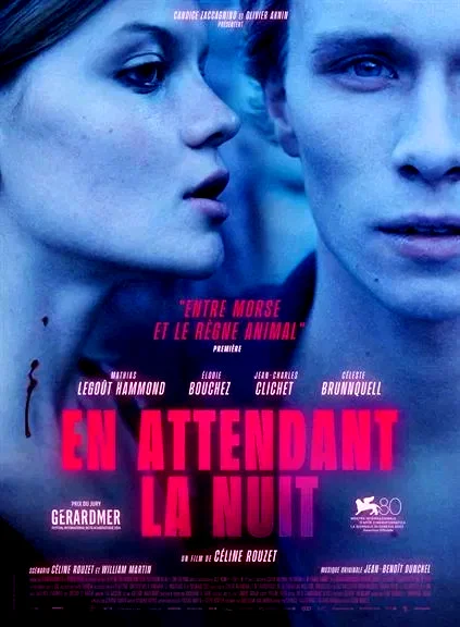 Affiche du film : En attendant la nuit