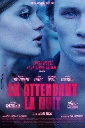 Affiche du film : En attendant la nuit