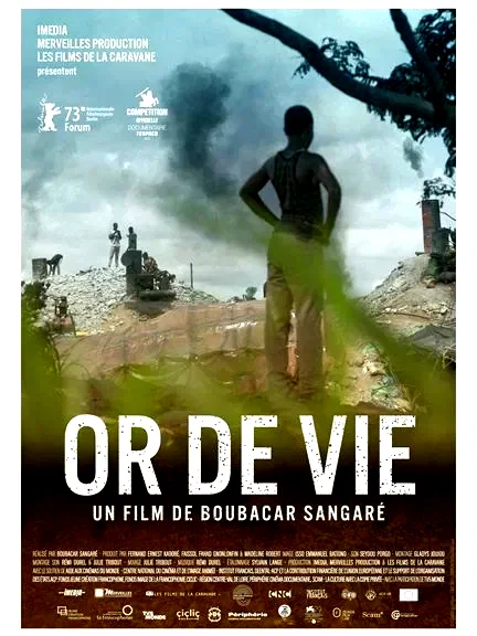 Affiche du film : Or de vie