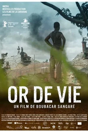 Affiche du film : Or de vie