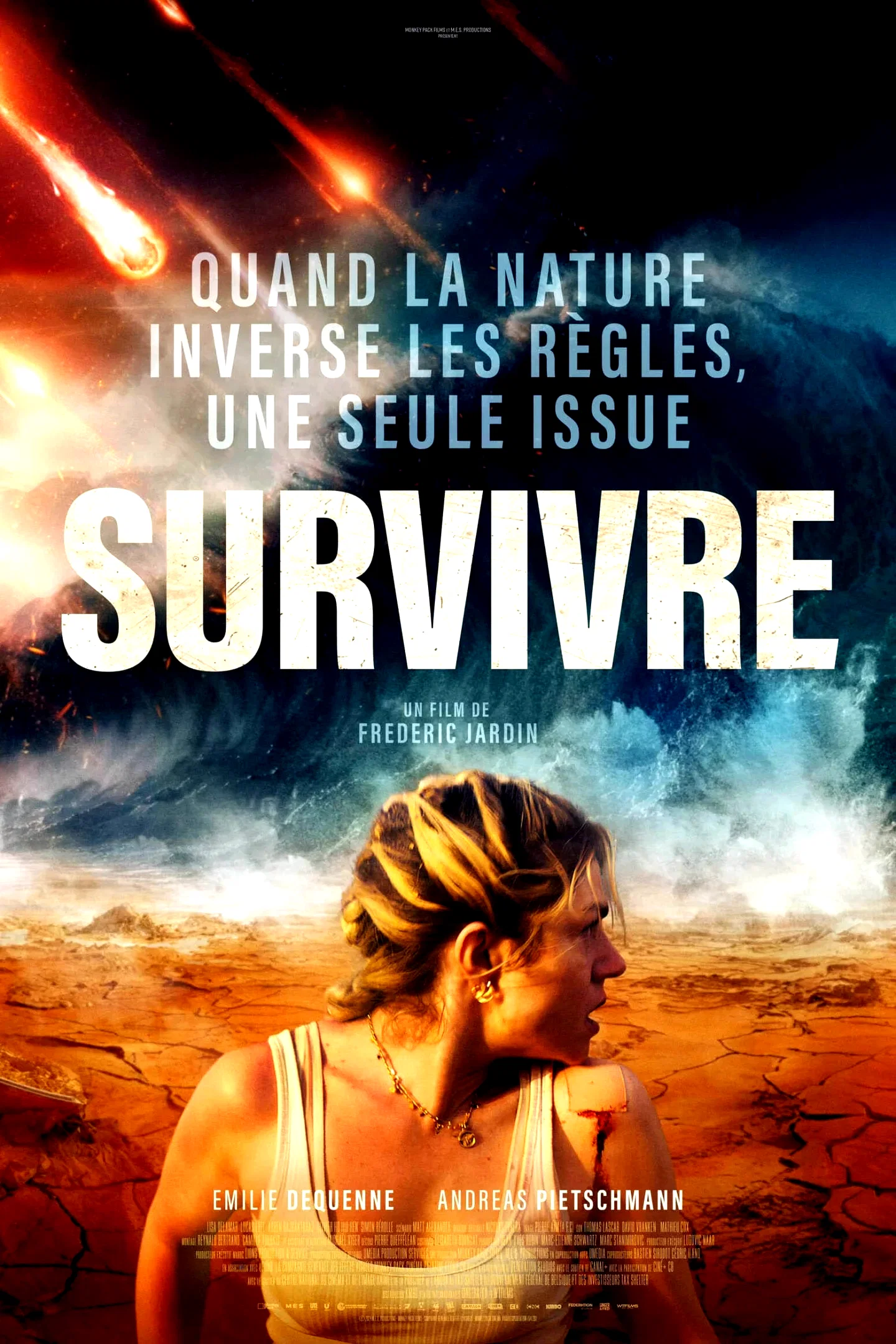 Affiche du film : Survivre