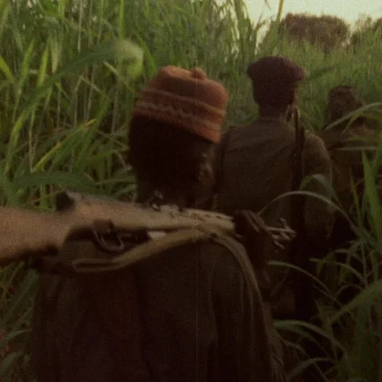 Miniature photo du film : Concerning Violence