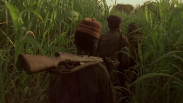 Photo 2 du film : Concerning Violence