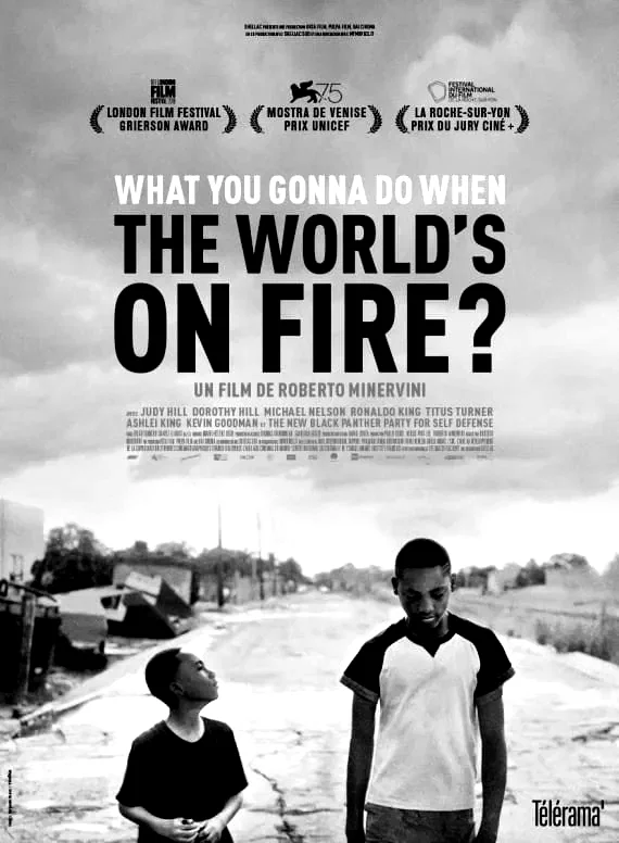 Affiche du film : What You Gonna Do When the World's on Fire ?